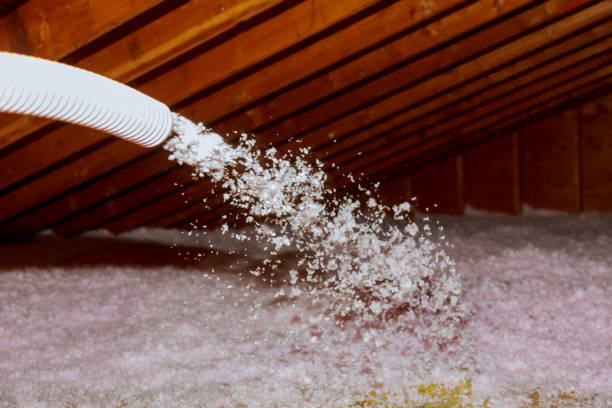 Best Wall Insulation Contractor  in Franklin, TX