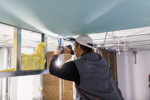 Best Cellulose Insulation  in Franklin, TX