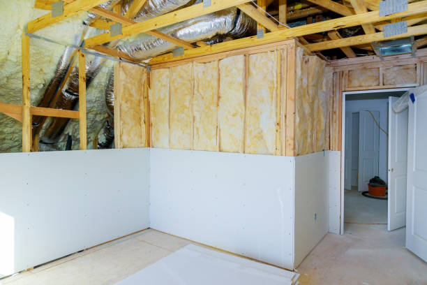 Best Insulation Replacement Services  in Franklin, TX