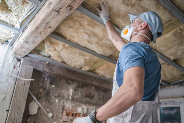 Best Blown-in Insulation  in Franklin, TX