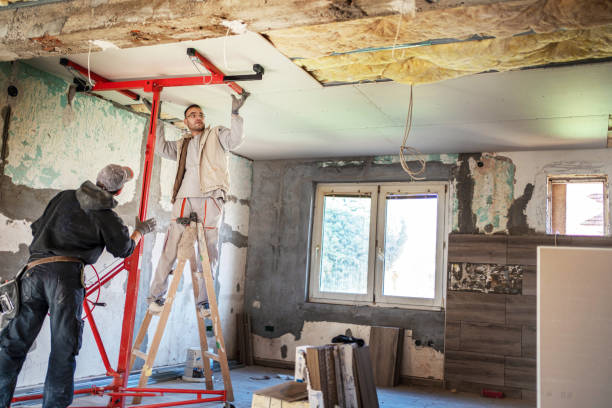 Best Professional Insulation Contractor  in Franklin, TX