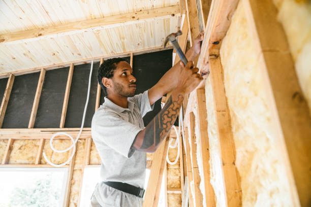 Best Attic Insulation Installation  in Franklin, TX