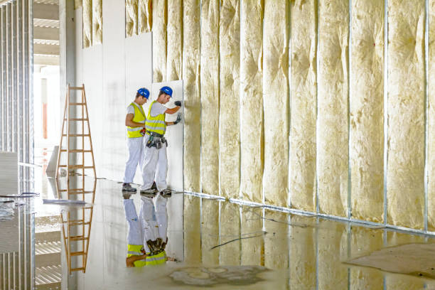 Best Attic Insulation Installation  in Franklin, TX